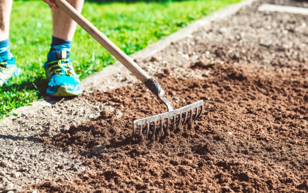 Rénover son jardin : Guide pratique pour un aménagement extérieur réussi