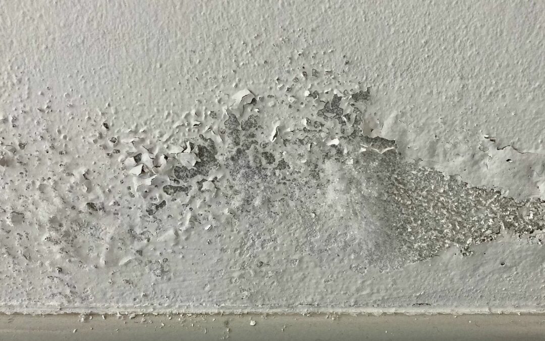 Traitement des remontées capillaires : une étape cruciale contre l’humidité murs